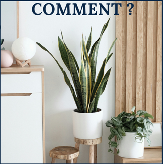 Comment intérieur décoration landes